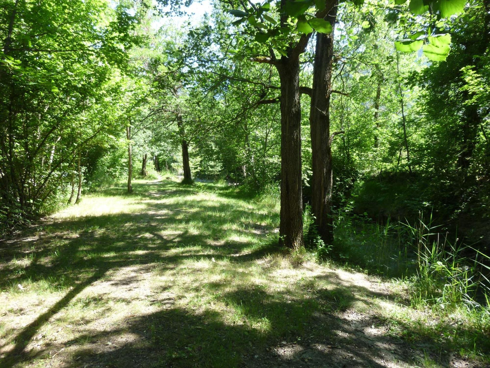Camping Notre Dame Castellane Exteriér fotografie